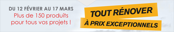 Du 12 février au 17 mars, plus de 150 produits pour tous vos projets : tout rénover à prix exceptionnels