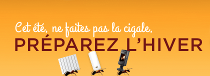 Cet été, ne faites pas la cigale, préparez l'hiver