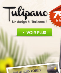 Le fauteuil Tulipano - 79€