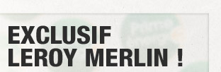 Exclusif Leroy Merlin